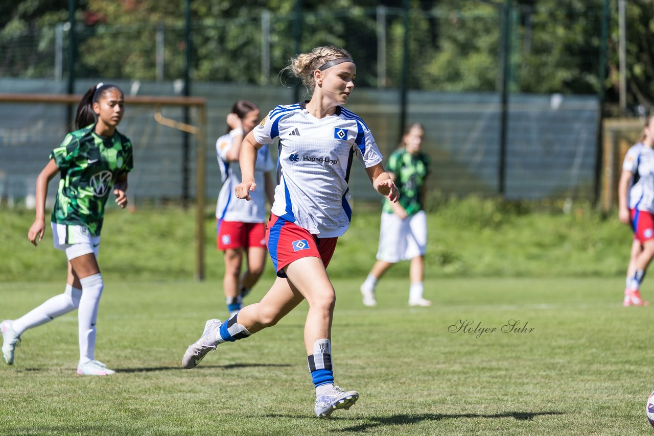 Bild 129 - wBJ Hamburger SV - VfL Wolfsburg : Ergebnis: 5:1